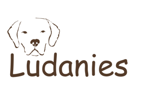 Ludanies